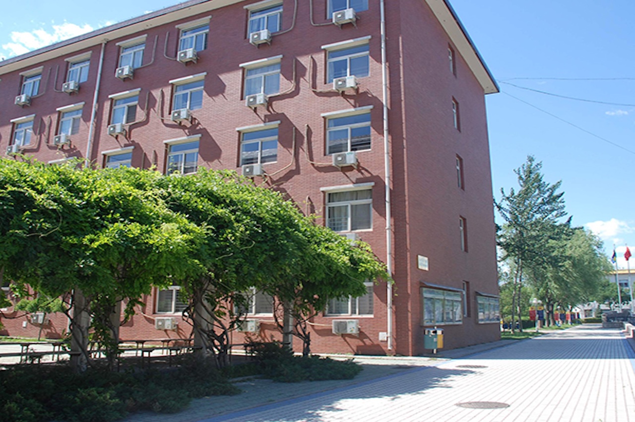 中加国际学校圈子